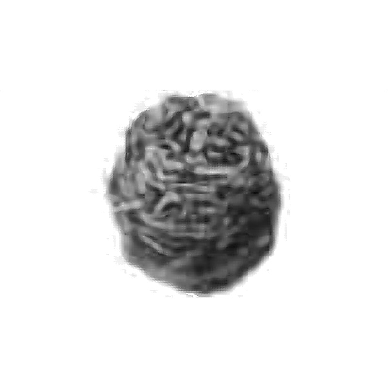 SS HAND SCOURING PAD