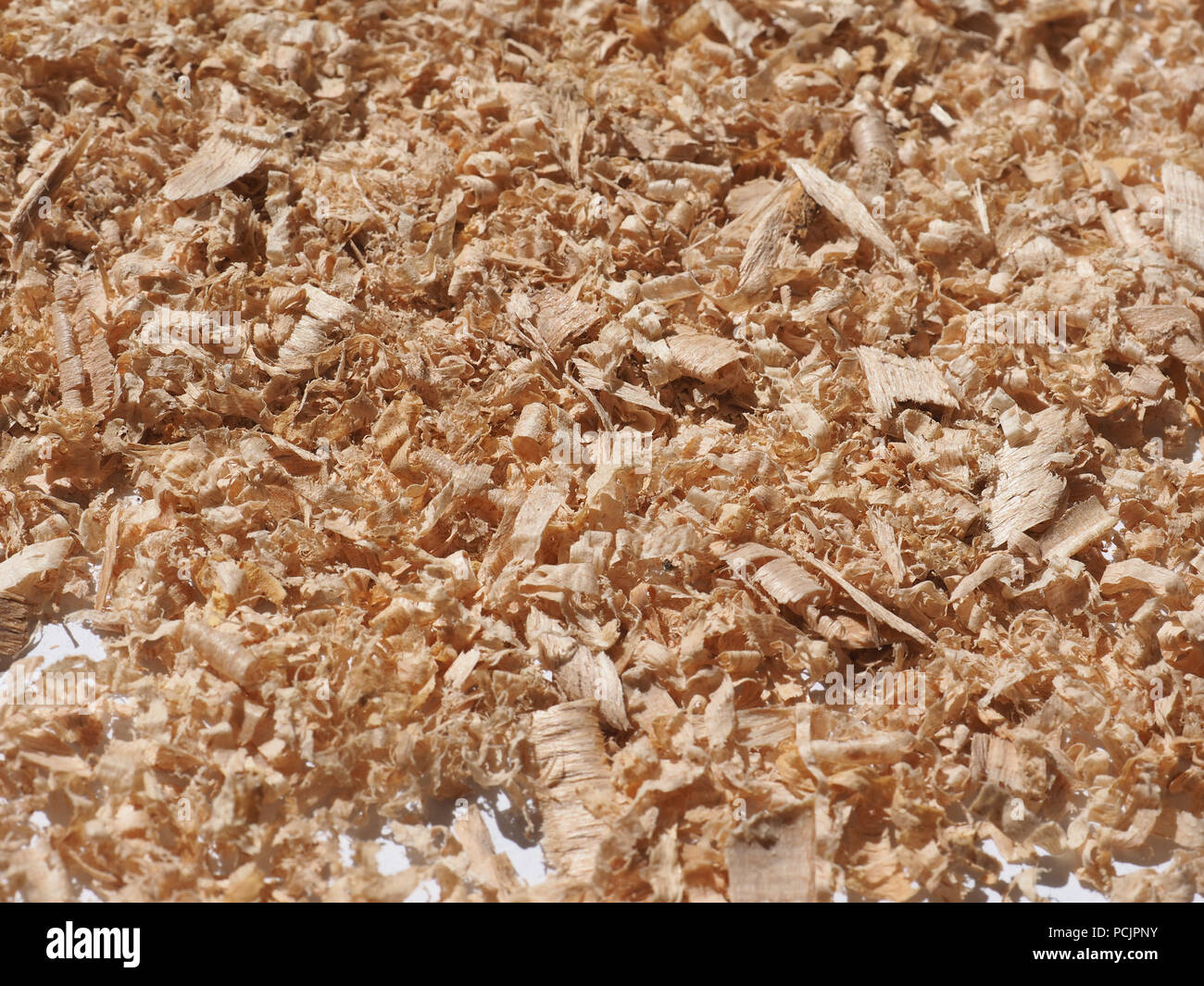 SAWDUST APP