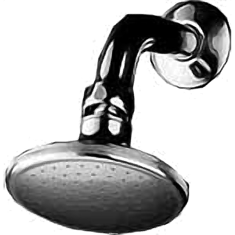 SHOWER HEAD WALL MOUNTED PF1/2 WITH WIDE FACE