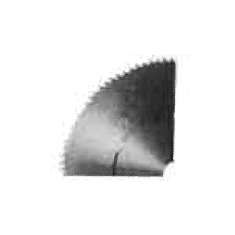 SPARE BLADE FOR CIRCULAR SAW