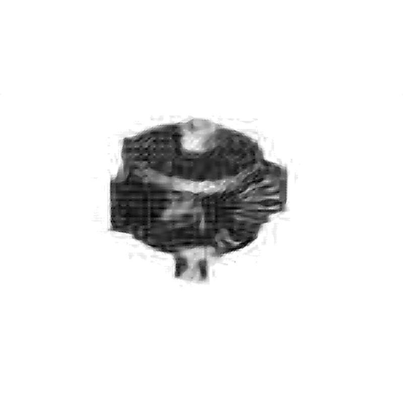 ACCESSORIES FOR SCALING MACHINE NO.2 LG BRUSH